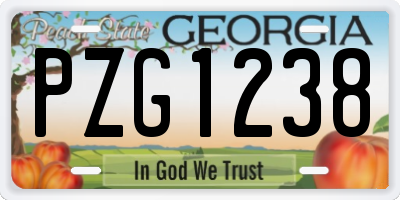 GA license plate PZG1238