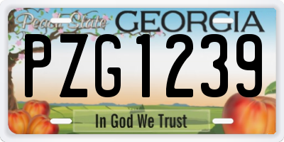 GA license plate PZG1239