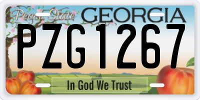 GA license plate PZG1267