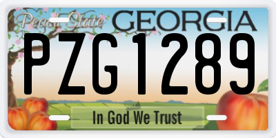 GA license plate PZG1289