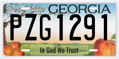 GA license plate PZG1291
