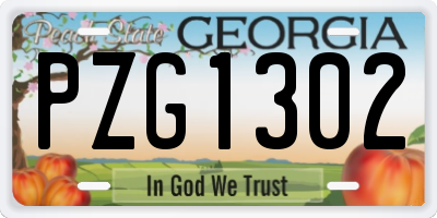 GA license plate PZG1302