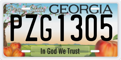 GA license plate PZG1305