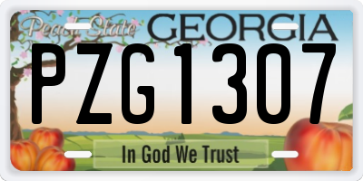 GA license plate PZG1307