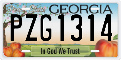GA license plate PZG1314