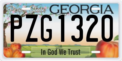 GA license plate PZG1320