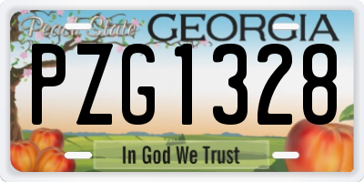 GA license plate PZG1328