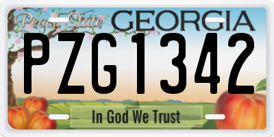 GA license plate PZG1342