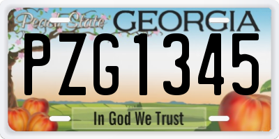GA license plate PZG1345