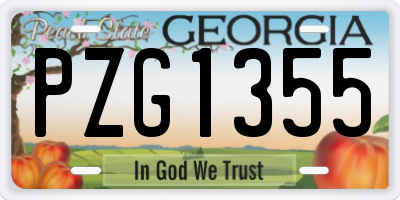 GA license plate PZG1355