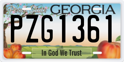 GA license plate PZG1361