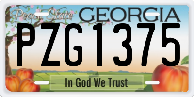 GA license plate PZG1375