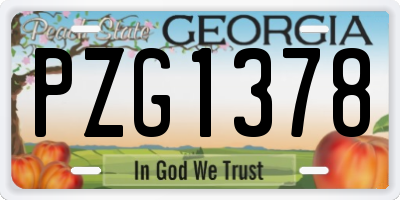 GA license plate PZG1378