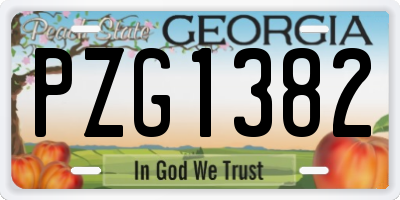 GA license plate PZG1382