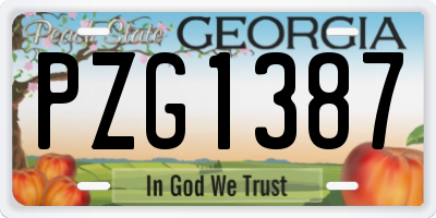 GA license plate PZG1387