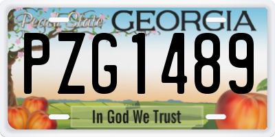 GA license plate PZG1489