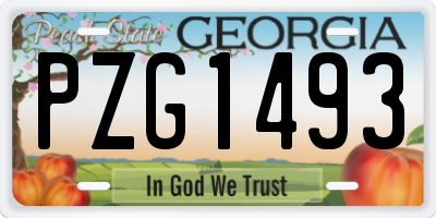 GA license plate PZG1493