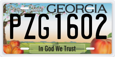 GA license plate PZG1602
