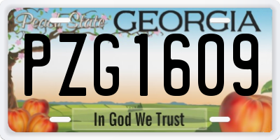 GA license plate PZG1609