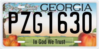 GA license plate PZG1630