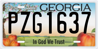 GA license plate PZG1637