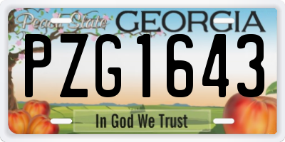GA license plate PZG1643