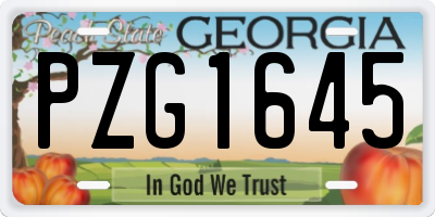 GA license plate PZG1645
