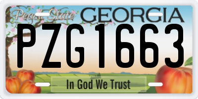 GA license plate PZG1663