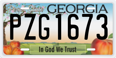 GA license plate PZG1673