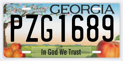 GA license plate PZG1689