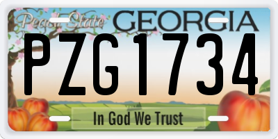 GA license plate PZG1734