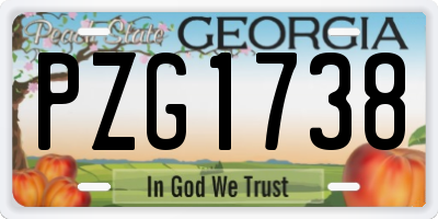 GA license plate PZG1738