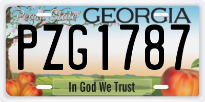 GA license plate PZG1787