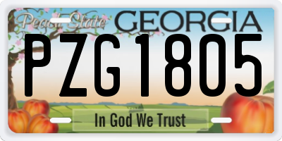 GA license plate PZG1805