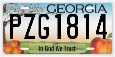 GA license plate PZG1814