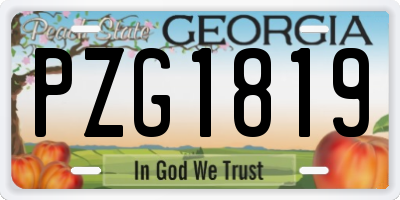 GA license plate PZG1819
