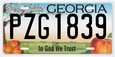GA license plate PZG1839