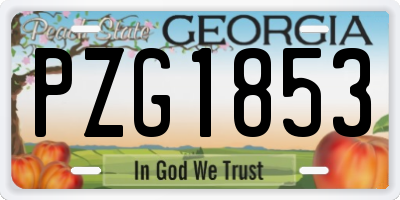 GA license plate PZG1853
