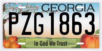 GA license plate PZG1863