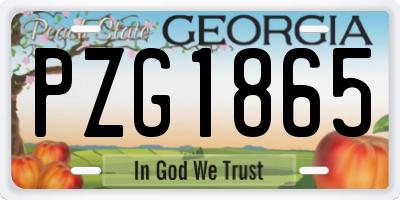 GA license plate PZG1865
