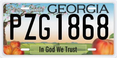 GA license plate PZG1868