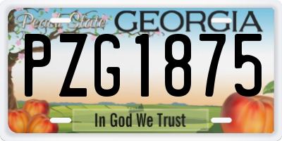 GA license plate PZG1875