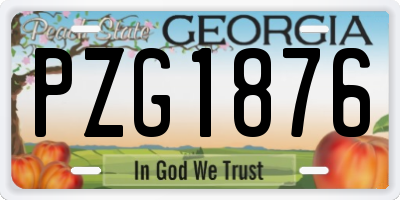 GA license plate PZG1876
