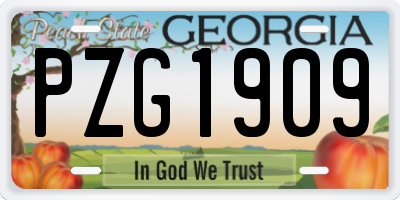 GA license plate PZG1909