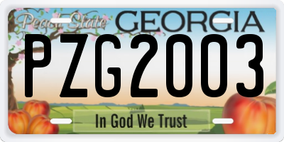 GA license plate PZG2003