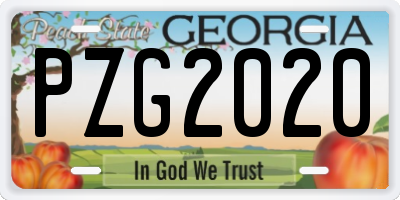 GA license plate PZG2020