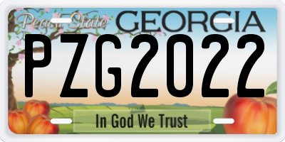 GA license plate PZG2022