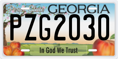 GA license plate PZG2030