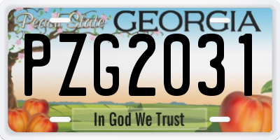 GA license plate PZG2031