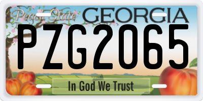 GA license plate PZG2065